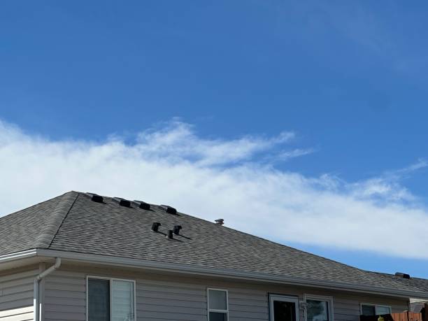 Reliable Belleville, IL Roofing Services Solutions